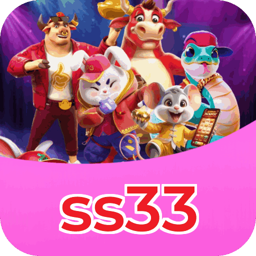 Interface ss33